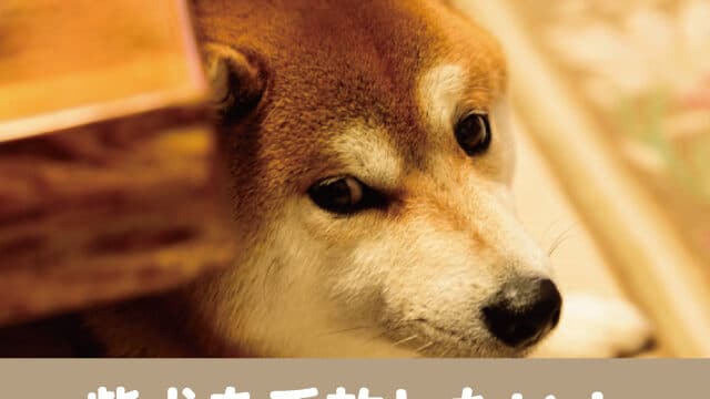 柴犬 手放したい しつけ　大変　嫌い　里親