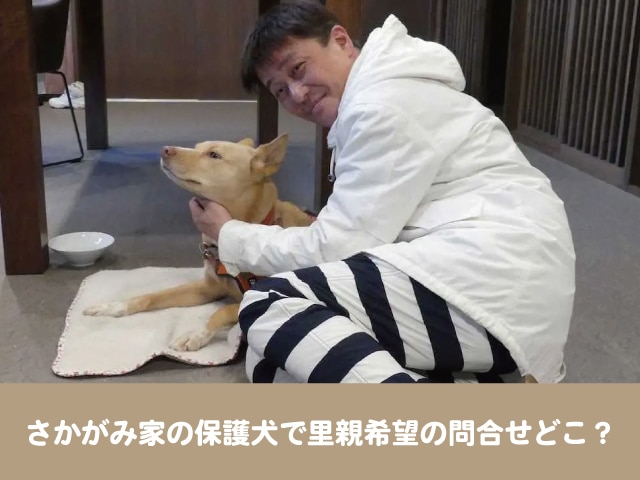 さかがみ家　保護犬　里親　譲渡会　最新　SNS