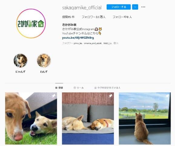 さかがみ家　保護犬　里親　譲渡会　最新　SNS