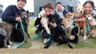 坂上どうぶつ王国　クロ　里親　譲渡　保護犬　