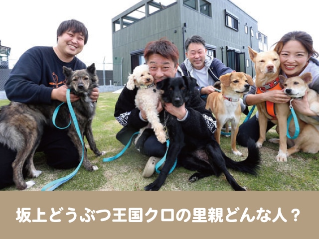 坂上どうぶつ王国　クロ　里親　譲渡　保護犬　