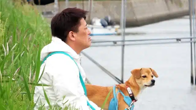 さかがみ家　保護ハウス　文太　保護犬　犬種　譲渡サイト