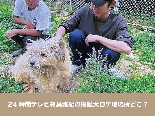 24時間テレビ45　相葉雅紀　保護犬　ロケ地　場所　どこ　沖縄　サラ　放置犬　宮古島