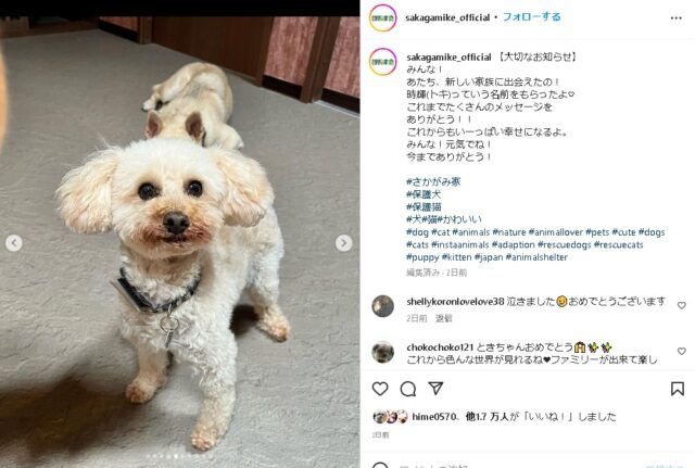 さかがみ家　トキちゃん　保護犬　譲渡　現在　さかがみ家カフェ　スタッフ