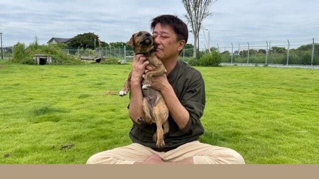 さかがみ家　おそ松　ジュウシ松　琉球犬　譲渡　大きさ　性格