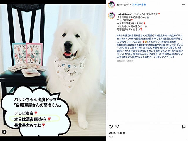 自転車屋さんの高橋くん　犬　たもつ　犬種　プロフィール　SNS　出演