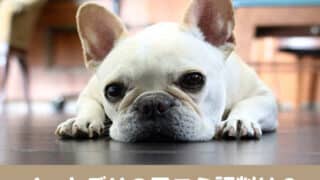 イートデリ　口コミ　評判　原材料　安全性　食いつき