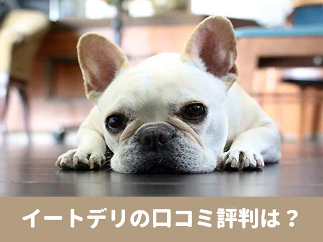 イートデリ　口コミ　評判　原材料　安全性　食いつき