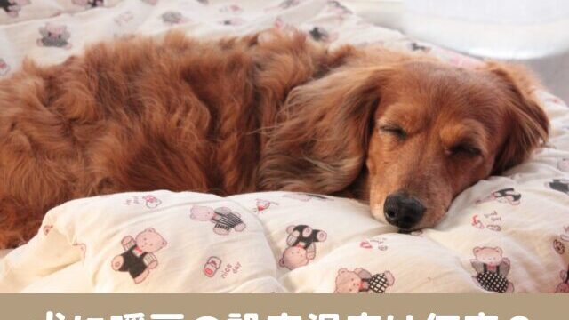 犬　暖房　設定温度 何度　室内　夜　寝る時　適温