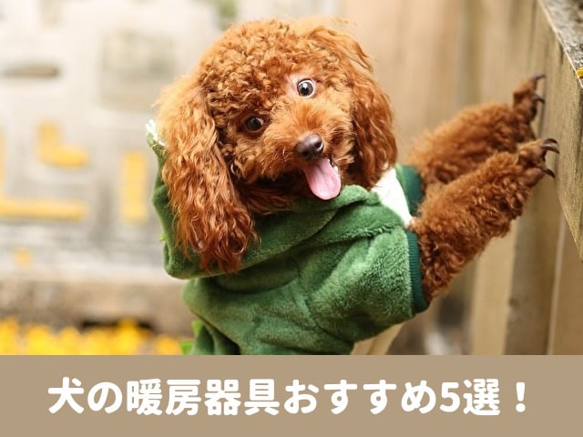 犬　暖房器具　おすすめ　安全　節約　暖房グッズ