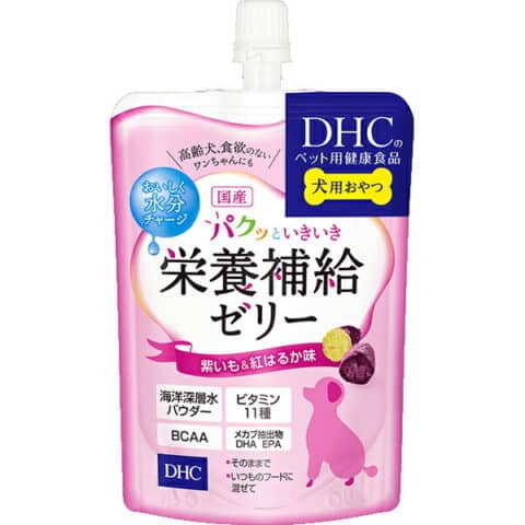シニア犬 水しか飲まない 最期　老衰　看取り　飼い主