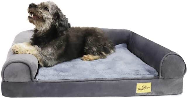 シニア犬　ベッド おすすめ　高反発　耐圧分散