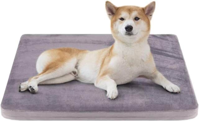 シニア犬　ベッド おすすめ　高反発　耐圧分散