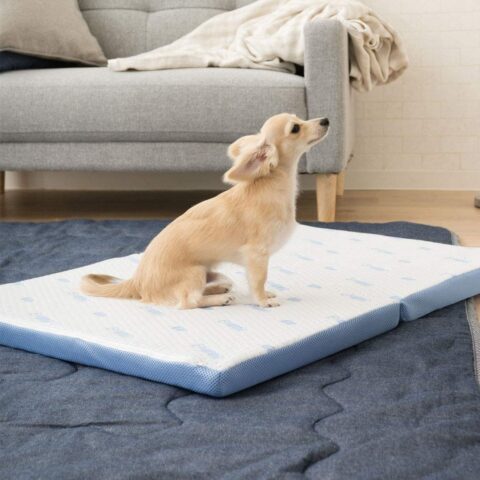 シニア犬　ベッド おすすめ　高反発　耐圧分散