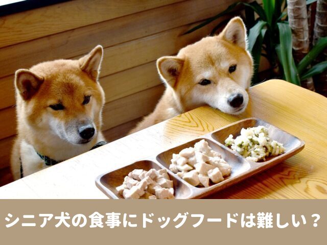 シニア犬　食事 ドッグフード　必要な栄養素　手作りご飯　レシピ
