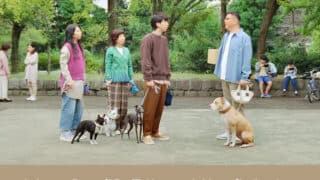 郵便局　CM　犬　長谷川　犬種　プロフィール　SNS