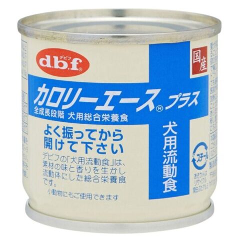 シニア犬 水しか飲まない 最期　老衰　看取り　飼い主