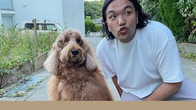 郵便局　CM　犬　盛山　芸人　犬種　プロフィール　SNS