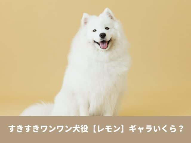 すきすきワンワン　犬　レモン　ギャラ　出演作品　SNS