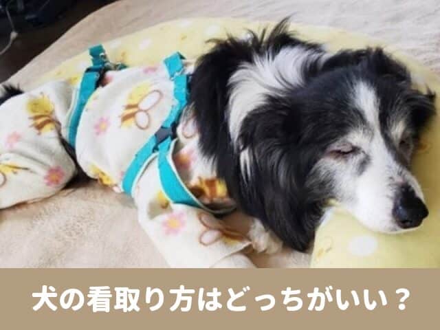 犬　看取り方 自宅　病院　準備　介護