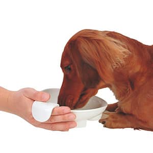 老犬介護用品 食事　便利グッズ　おすすめ　食べさせ方　水の飲ませ方