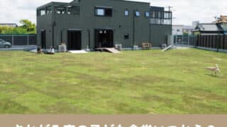 さかがみ家　子ども食堂　いつから　物販　譲渡会　運営　目的