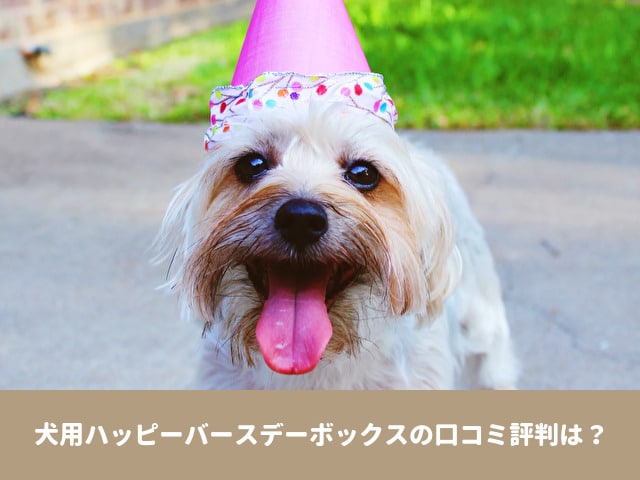 犬　ハッピーバースデーボックス　MyBESTii 口コミ 評判　ペット　思い出