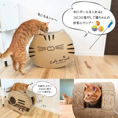 サンシャイン池崎　ニャンピングカー　最速　猫グッズ