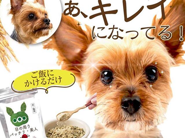 目の周りぱっちり美人　口コミ　評判　犬　涙やけ　サプリ　効果
