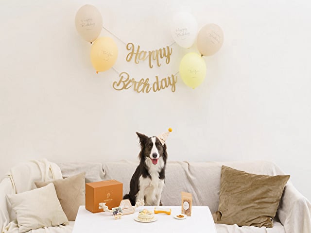 犬　ハッピーバースデーボックス　MyBESTii 口コミ 評判　ペット　思い出