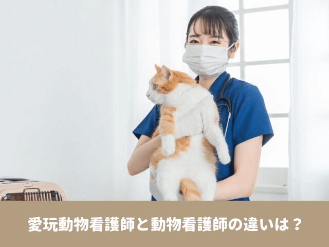 愛玩動物看護師　動物看護師　違い　国家資格　給与　年収