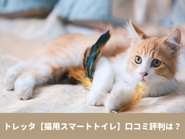 トレッタ　猫　トイレ　口コミ　評判　サブスク　効果　感想