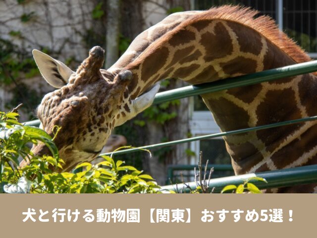 犬と行ける　動物園　関東　2023　おすすめ　ペット同伴　入園料　人気