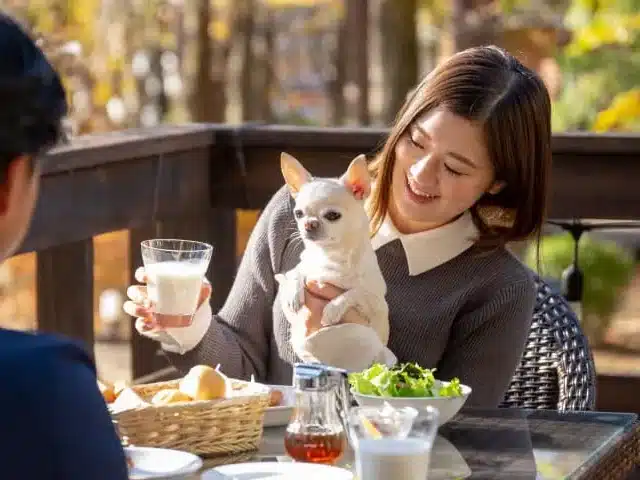 犬と行ける　キャンプ場　関東　おすすめ　ドッグランサイト　ペット可　コテージ
