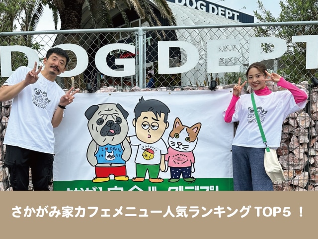 さかがみ家カフェ　メニュー　人気　ランキング　ドッグデプト　おすすめ