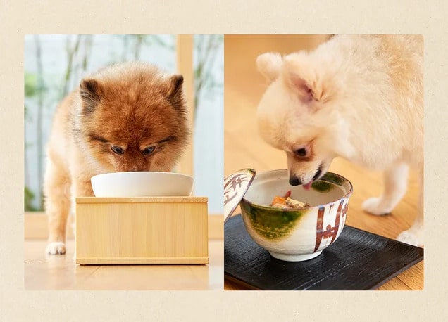 犬の日替わり定食　口コミ　評判　原材料　食いつき