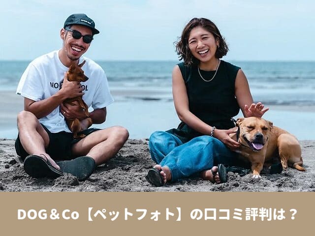 DOG＆Co　ペットフォト　口コミ　評判　料金　プラン　感想