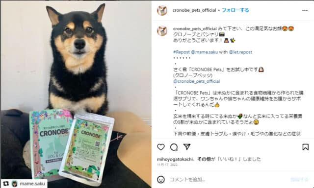 クロノーブ　口コミ　評判　犬　腸活サプリ　効果　安全性