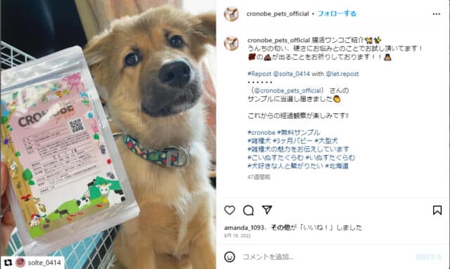 クロノーブ　口コミ　評判　犬　腸活サプリ　効果　安全性