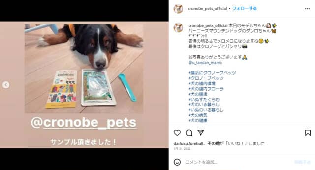 クロノーブ　口コミ　評判　犬　腸活サプリ　効果　安全性