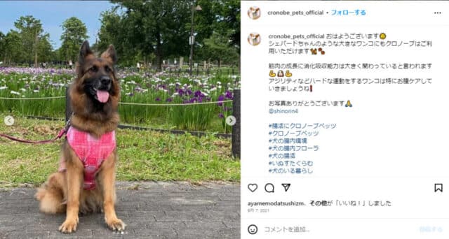 クロノーブ　口コミ　評判　犬　腸活サプリ　効果　安全性