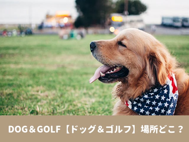 DOG＆GOLF　2023　場所　アクセス　駐車場
