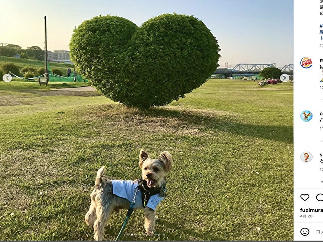DOG＆GOLF　2023　場所　アクセス　駐車場