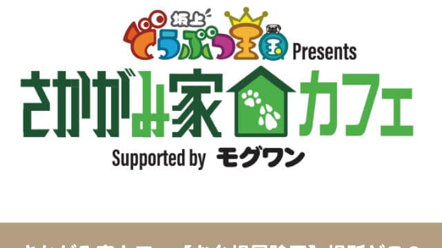 さかがみ家カフェ　お台場　冒険王　場所　駐車場　混雑　入場料