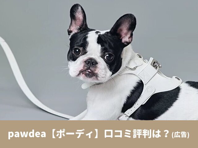pawdea ポーディ　口コミ　評判　散歩　使いやすさ　おすすめ　商品