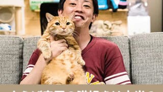 さらば森田　猫　保護猫　インスタ　SNS　最新情報