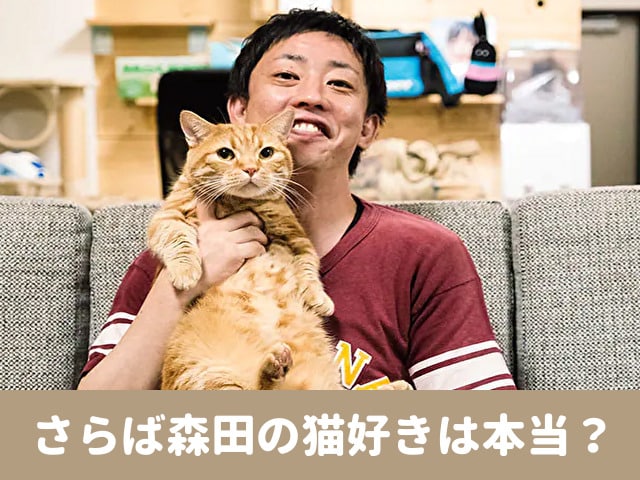 さらば森田　猫　保護猫　インスタ　SNS　最新情報
