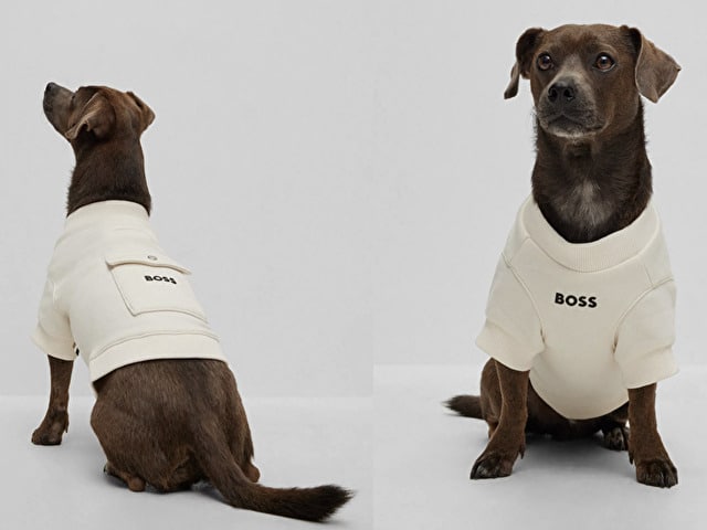 HUGO BOSS　犬服　グッズ　大谷翔平　犬　ポロシャツ