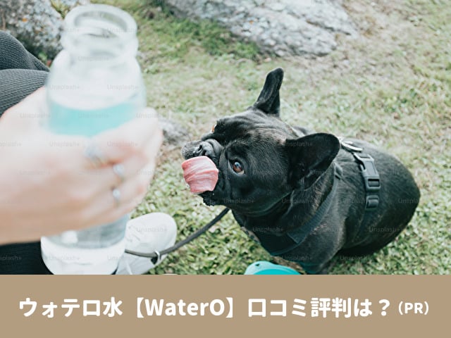 ウォテロ　水　WaterO 口コミ　評判　効果　コスト