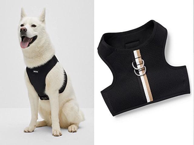 HUGO BOSS　犬服　グッズ　大谷翔平　犬　ポロシャツ